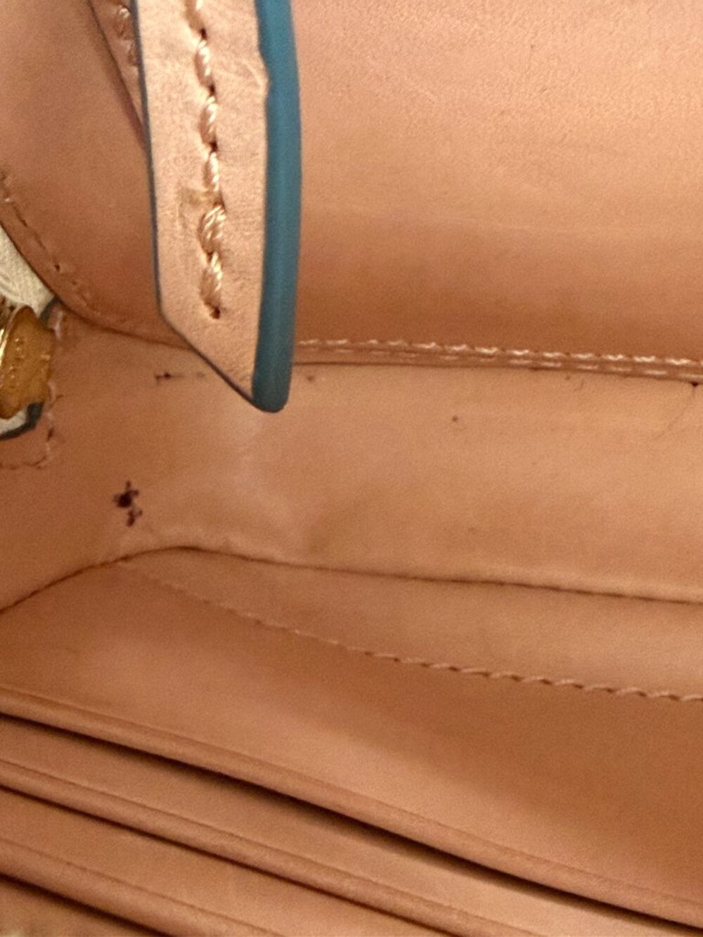DOONEY BOURKE DISNEY PARKS DOGS AMBLER CROSSBODY BAG - Picture 14 of 16